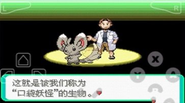 口袋妖怪漆黑的魅影5.0游戏截图2